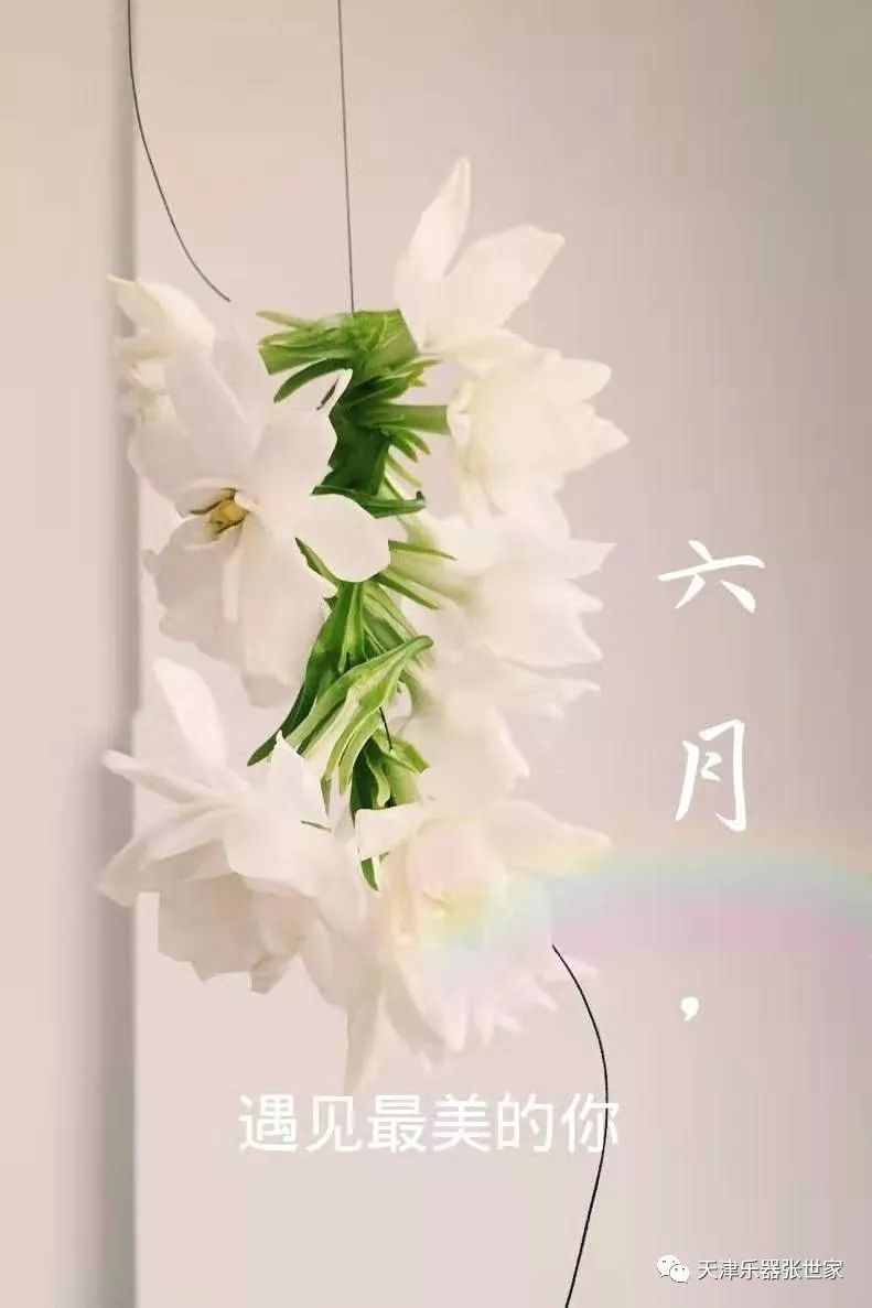 这个六月遇见最美的你古筝曲目赏析