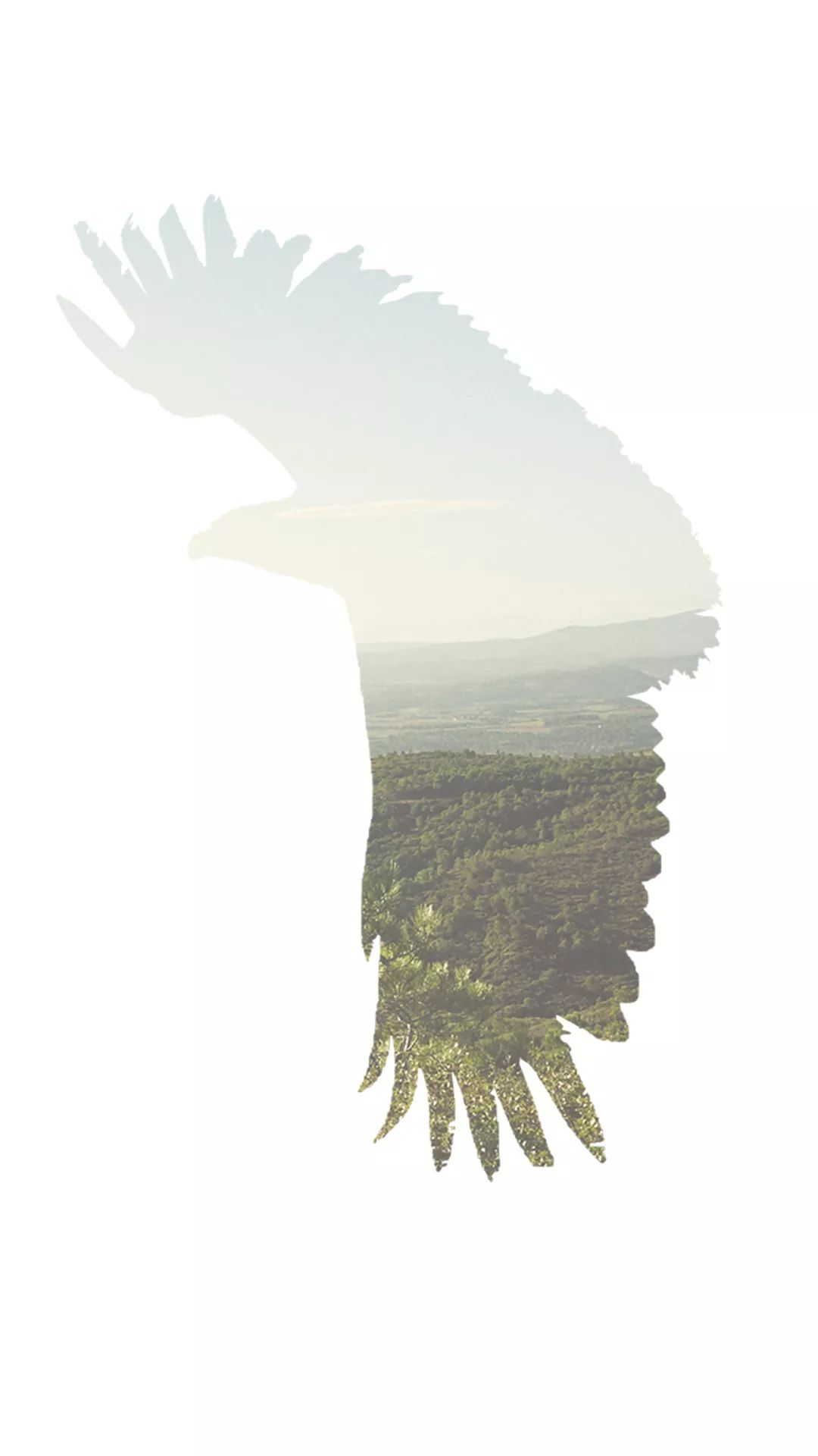 奥希耶庄园释放天性不粉饰也醉人