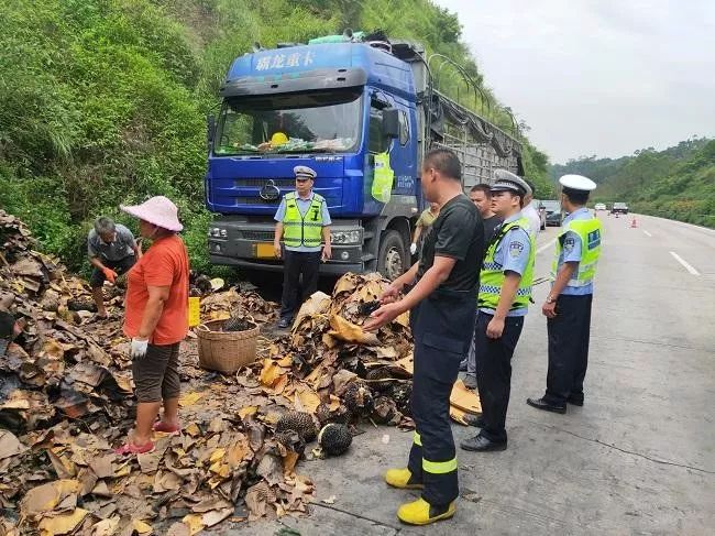 岑溪一車榴蓮被燒這些人撿起滿地燒焦的榴蓮