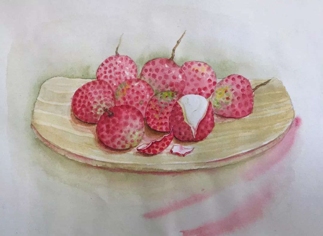 用水彩绘一枝荔枝惊艳了时光画画打卡第20期