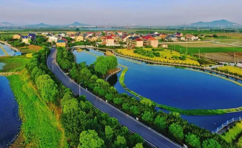 这167个地方要出名了!快看上虞有几个._东关街道