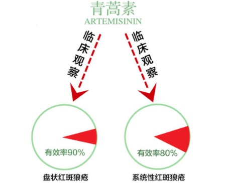 难题获新突破,且还发现,双氢青蒿素对治疗具有高变异性的红斑狼疮效果