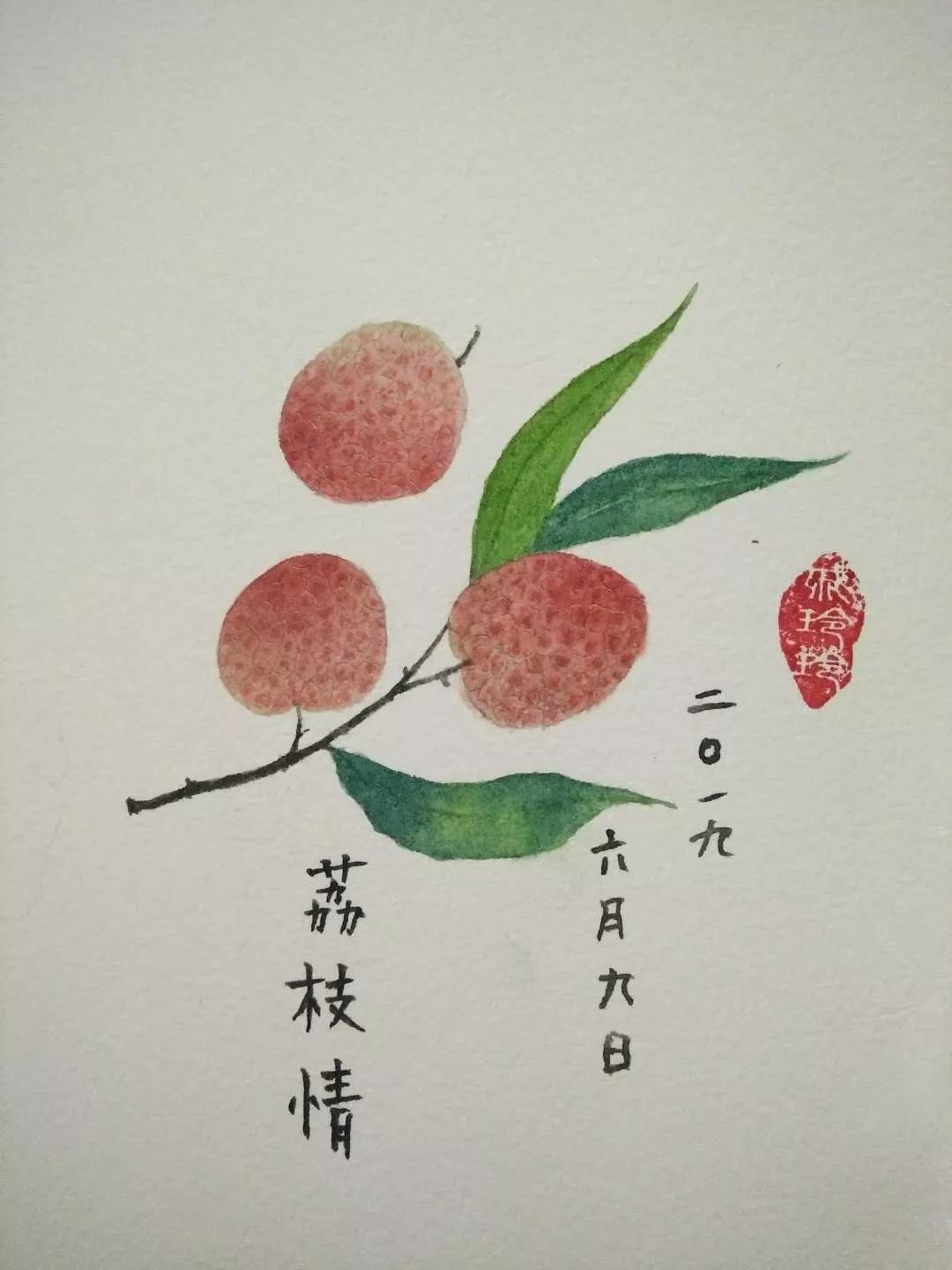 用水彩绘一枝荔枝惊艳了时光画画打卡第20期