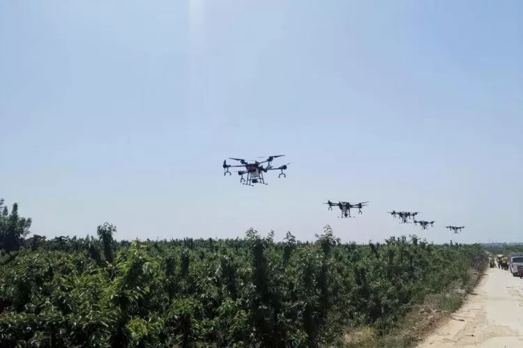 目前,dji大疆农业植保无人机已进入陕西省农机购机补贴的目录,用户