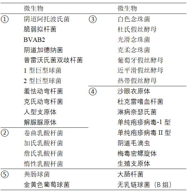 對婦科感染的病原微生物進行鑑定及整體微生態的改變進行評估,有助於