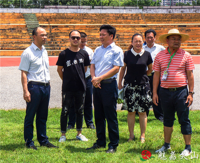 刘钦率队检查指导荔枝节筹备工作_灵山