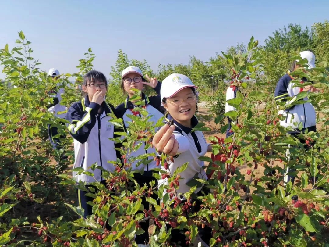 走出校门,拥抱自然—青岛李沧区实验初级中学学农实践活动进行时