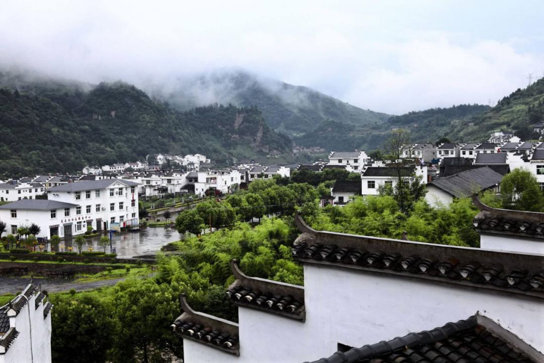 陕西龙头村在低谷中绝地反击的乡村振兴之路