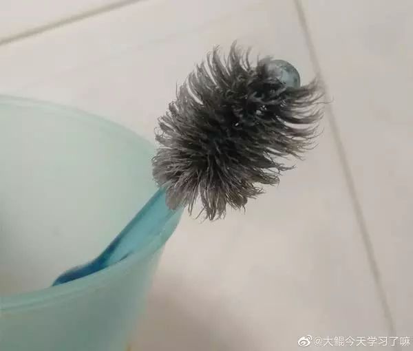 健康爸爸的炸毛牙刷上热搜张牙舞爪的刷头非常狂浪有同款吗