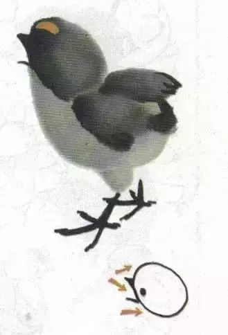 写意小鸡和母鸡的画法