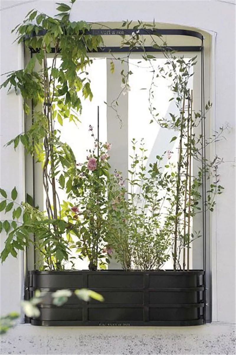 窗台花园式美得爽歪歪