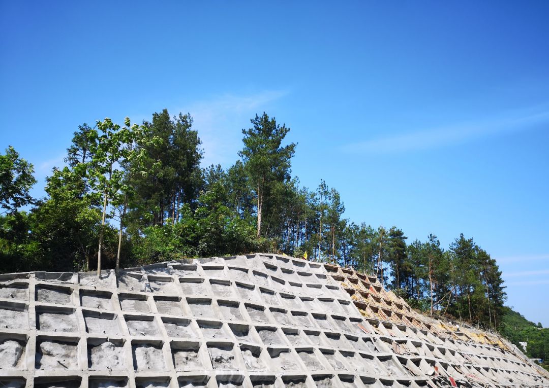 发育,地质情况较差,原设计方案上部采用喷播植草,下部采用锚杆格构梁