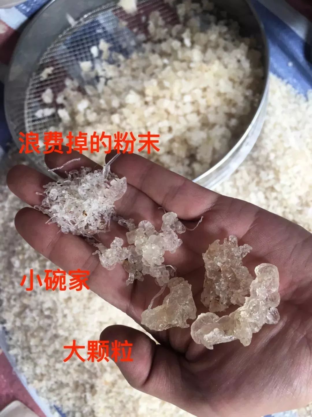 养颜护肤的桃胶皂角米雪雁甜品低热量饱腹感是瘦的秘诀