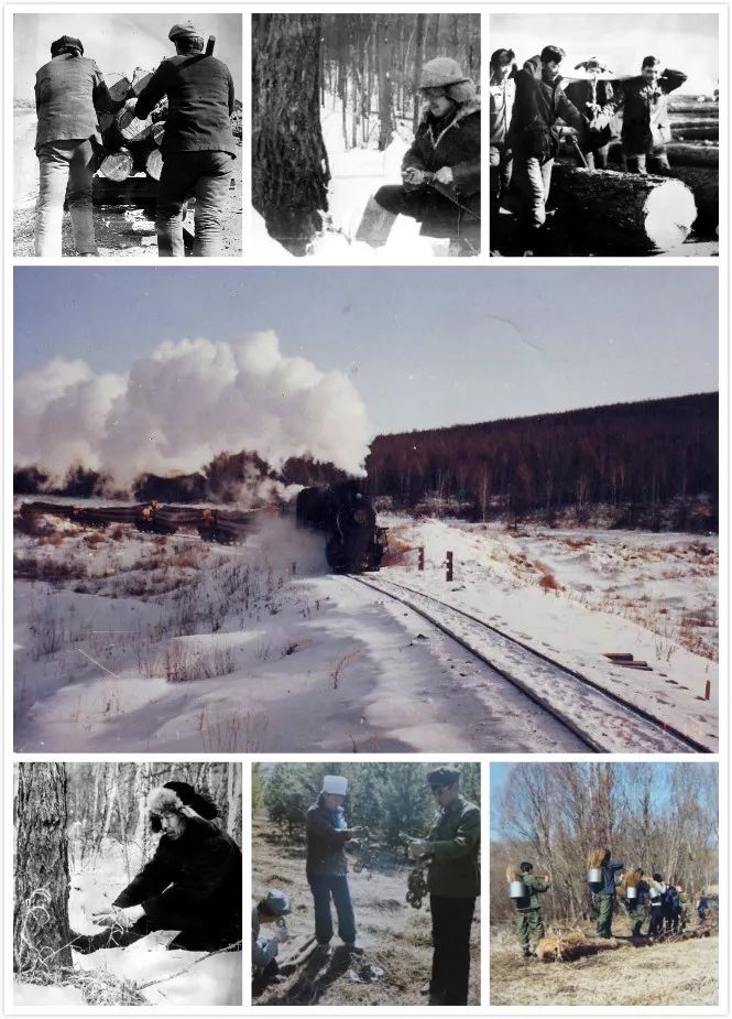 阿尔山林业局是内蒙古自治区大兴安岭开发较早的林区,1946年建局.