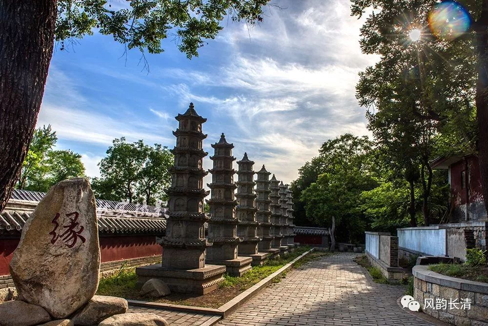 【美哉长清】长清——灵岩寺墓塔林