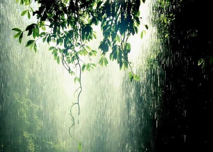 读一首诗白居易《夜雨》，思念在雨夜最断人肠_牧羊犬
