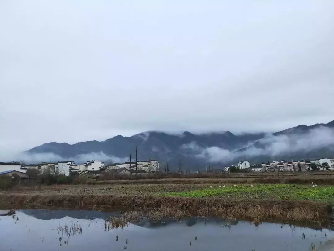 旅居中国 遇见最中国的徽州味道,闲庭信步,怡然自得_石亭村