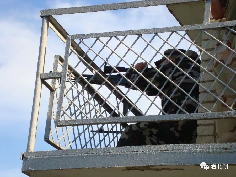 一千米外的杀机实拍sv98狙击步枪