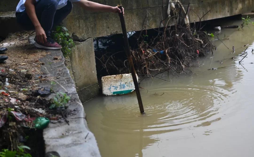 惊险电白马踏一名小学生掉进河里81岁老人跳进河里救人