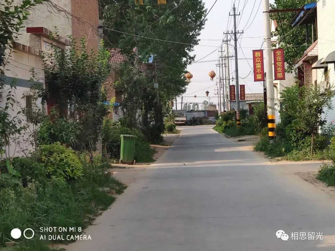 留光镇多措并举围绕人居环境整治百日攻坚工作再发力