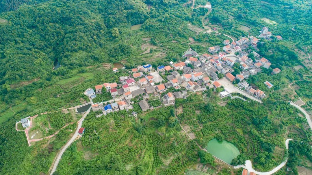 6月20号,金山店镇第五届香李文化旅游节 等你来玩_向阳村