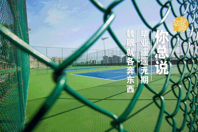 我们毕业了:放心去飞,勇敢去追!