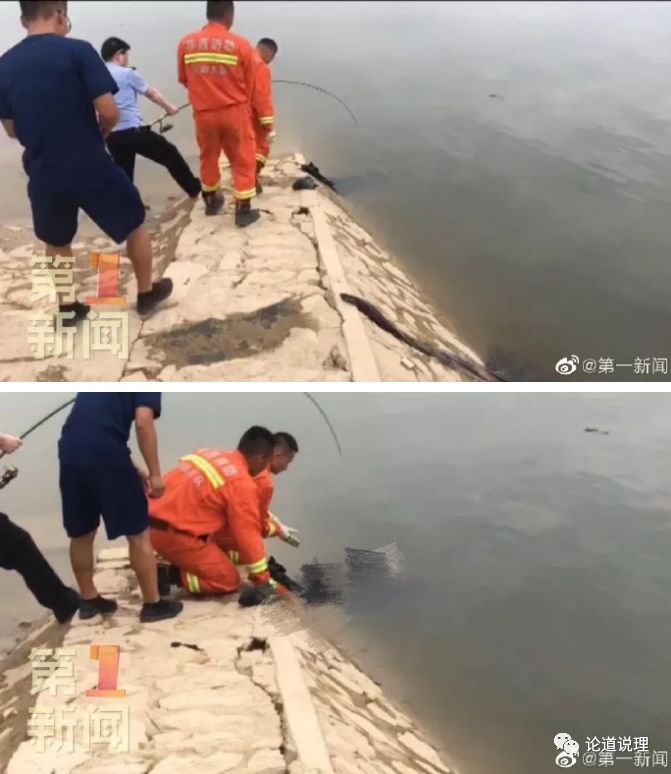 6月16日,宝鸡峡管理局咸阳大北沟水库,三名学生不幸溺水身亡.