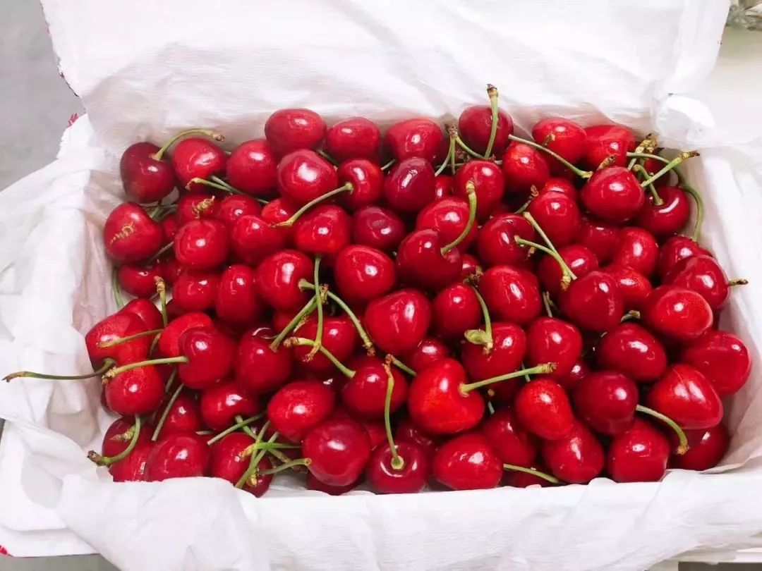 看看我们的实拍图吃货们最真实的反馈.