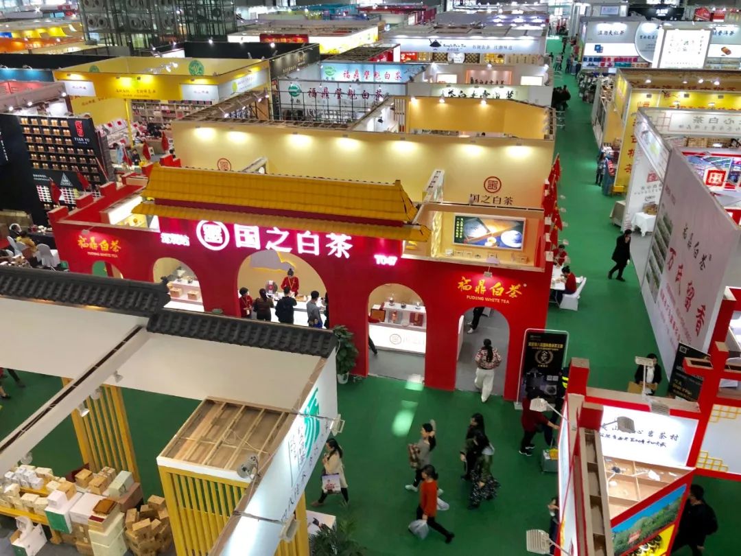 深圳茶展来袭国之白茶邀您共鉴佳茗