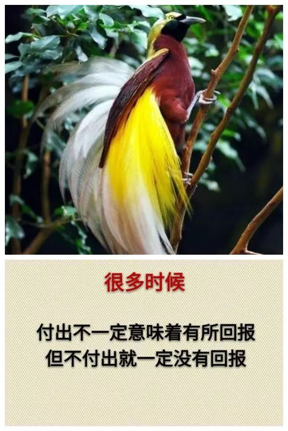 都有代价,事业,还是自由,不攀比,不抱怨;不计较,多包容;多理解,多付出