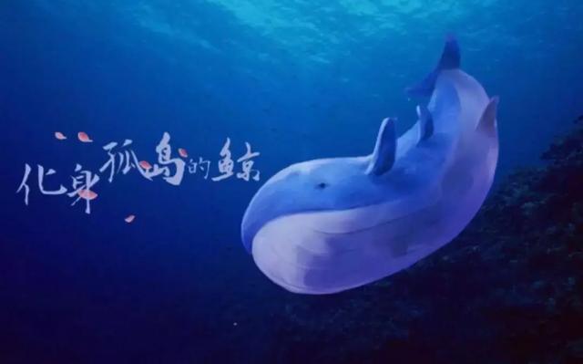 不才化身孤岛的鲸