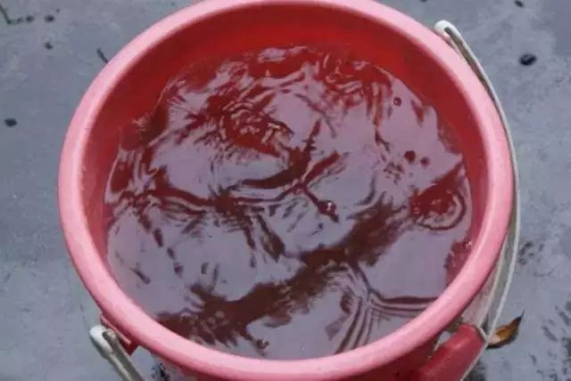 一桶水毁一个家注意了6种情况下千万别洗澡