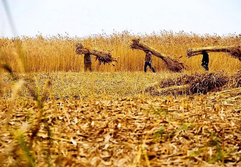 那天队长的心情也格外地好,一个一个地过滤申请人:棉靰鞡是新的吗?