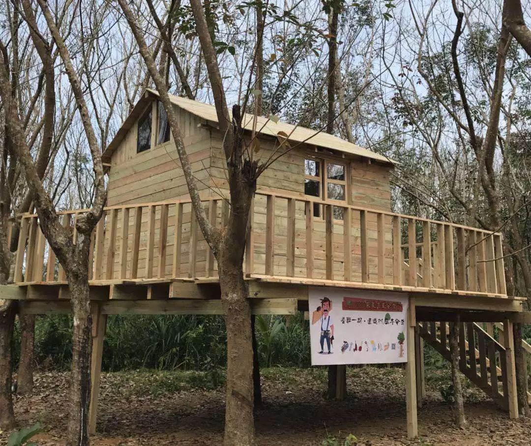 亲手建造一栋树屋吴夏鲁班树屋夏令营开始招募啦