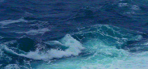 497_231gif 动态图 动图