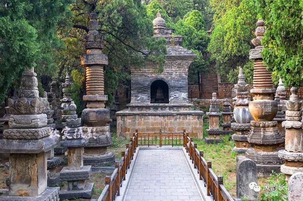 【美哉长清】长清——灵岩寺墓塔林