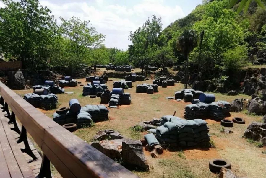 罗平中小学生暑假安排出炉!今年和往年完全不一样…_夏令营