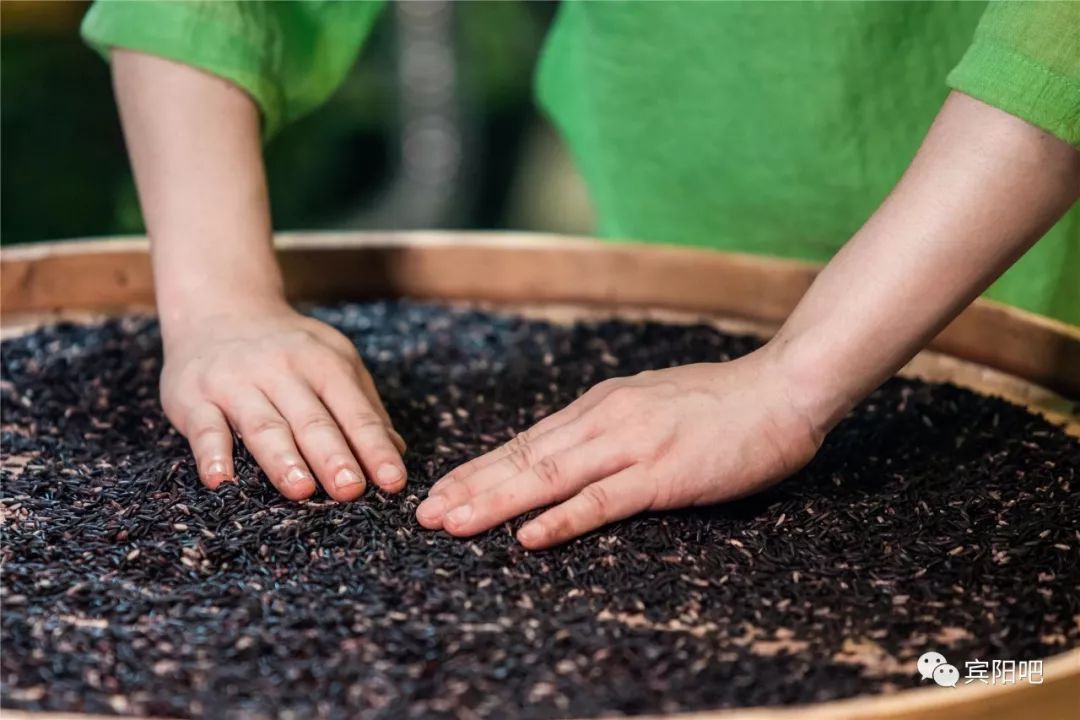 夏天来了泡杯笙墨香黑米养生茶
