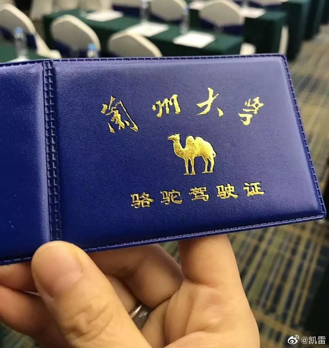 大学, 报考云南财大, 和北航相比, 老师颜值高, 没错,是骆驼驾驶证