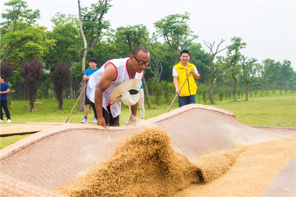 晒谷摸鱼丢沙包,张家港这个地方的"土味"运动会农趣十足
