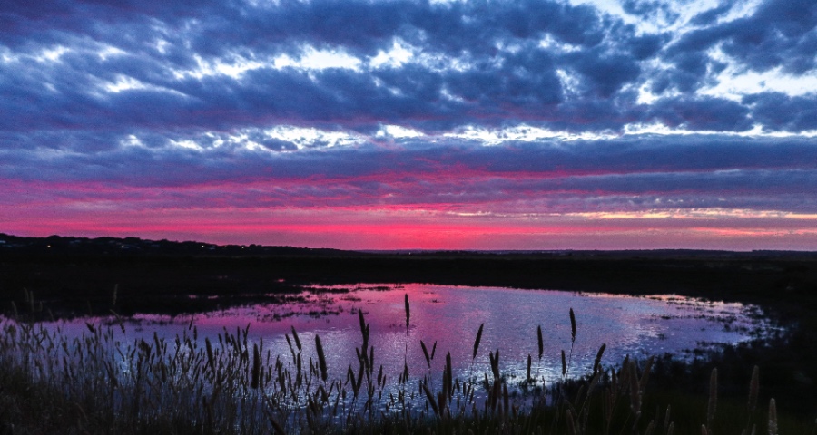 农村家电经销商如何过上好日子？618大促落幕后家电企业要关心-家电圈官网