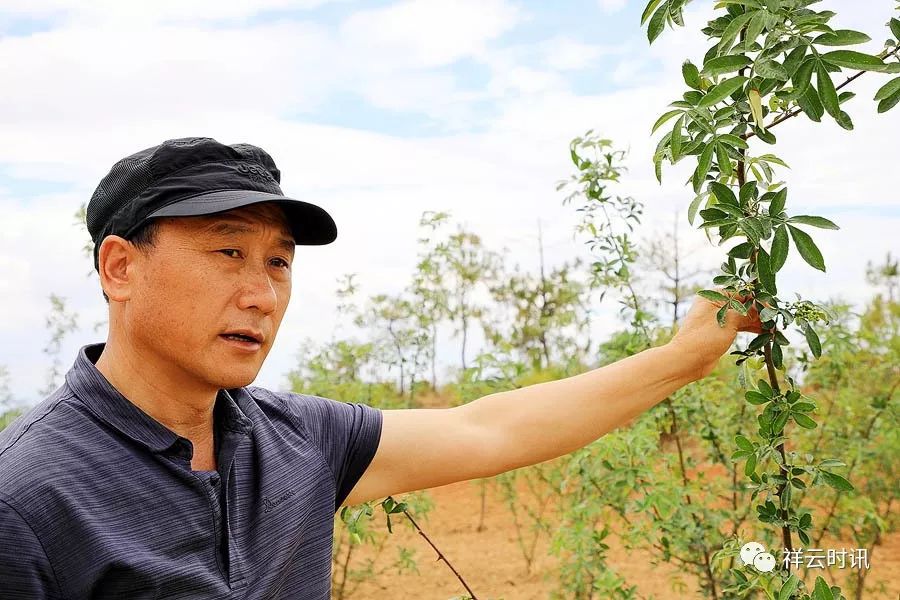 祥云大山深处的扶贫好村官