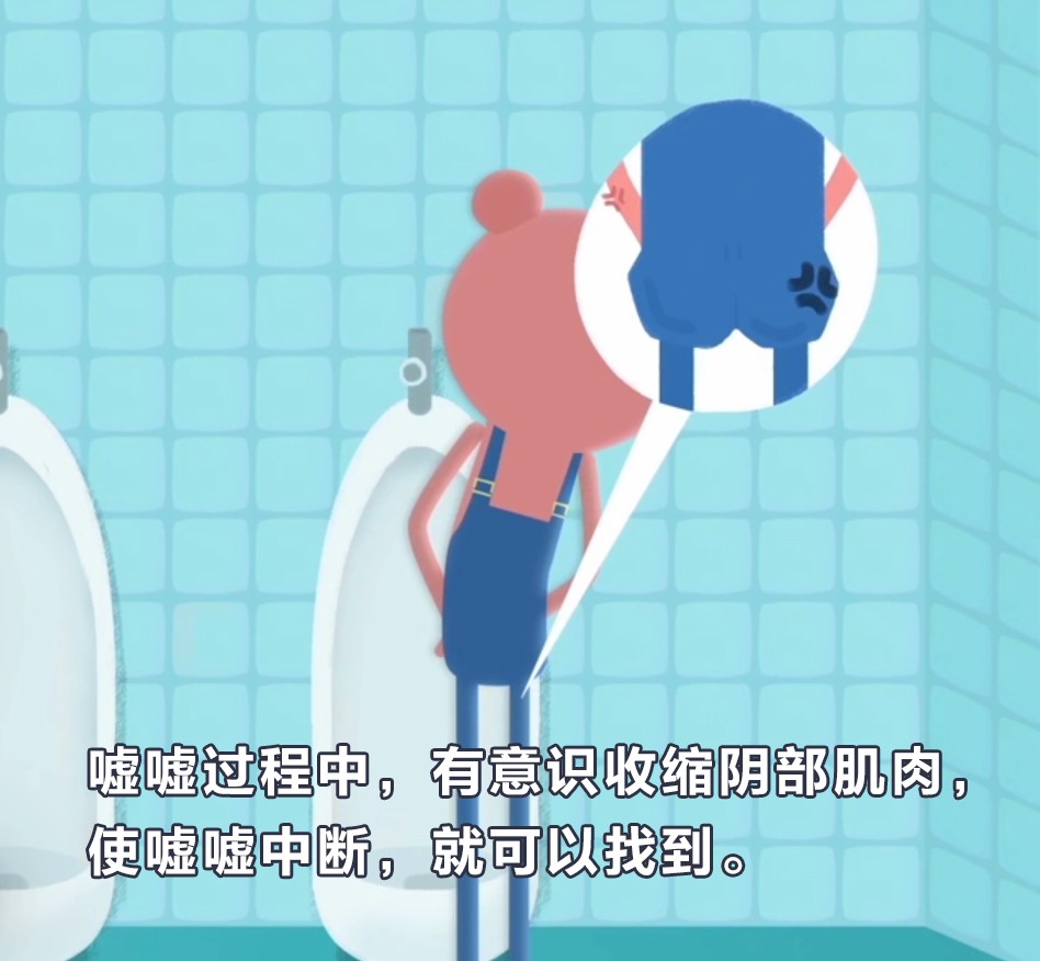 pc肌这块肌肉决定了我们幸福程度的魔力