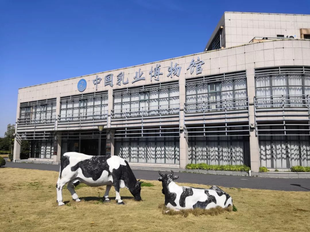 你有一份亲子互动计划等待查收