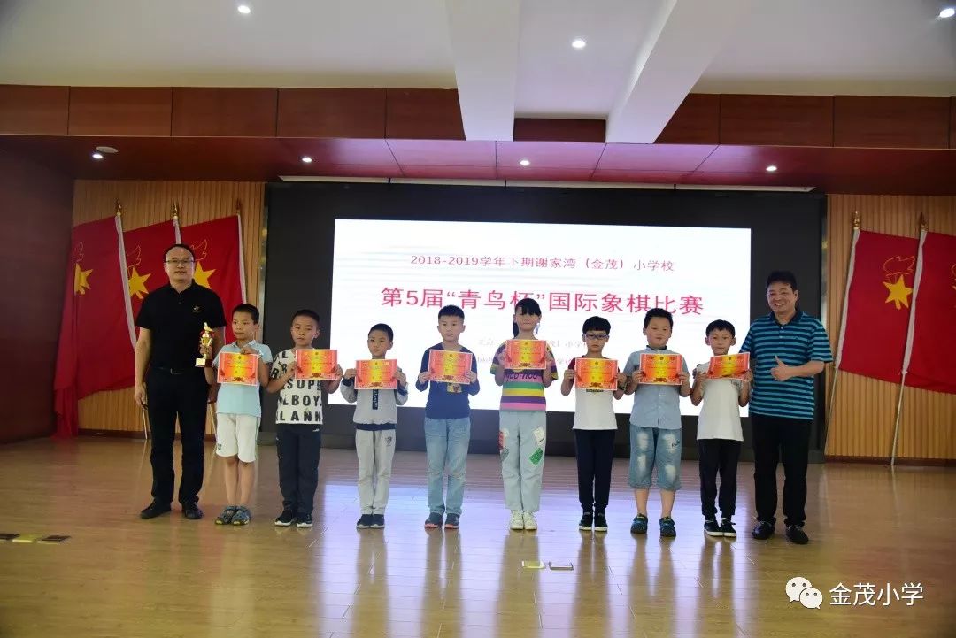 谢家湾金茂小学第五届青鸟杯国际象棋比赛热闹举行