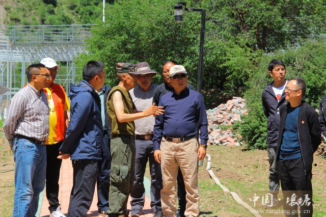 严华考察达日蔬菜基地