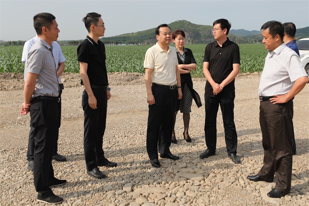 区委书记孙本忠调研太子河左岸生态治理道路工程建设情况_小屯镇