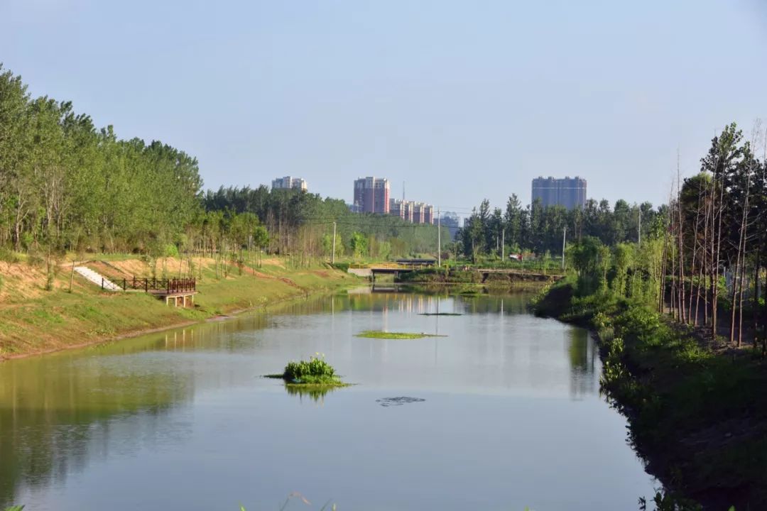 泗阳湿地公园同样有,快一起来看看!