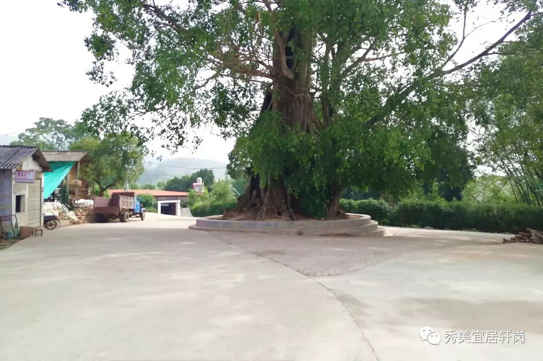 轩岗乡开展环境卫生整治行动让秀美轩岗靓起来