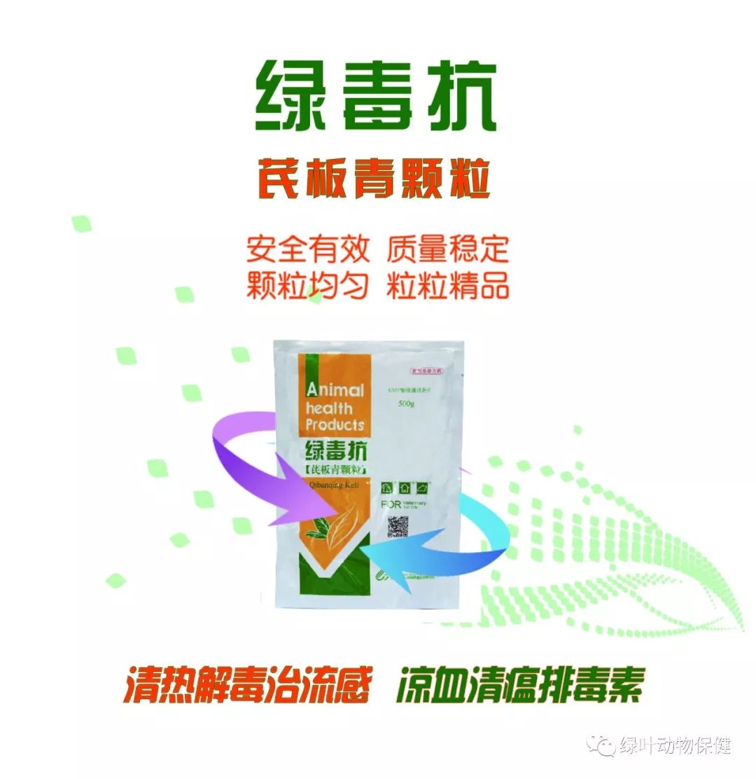 绿叶大单品绿毒抗芪板青颗粒